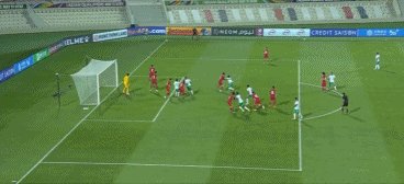 1648140878579017089.gif 鞋盒里.gif